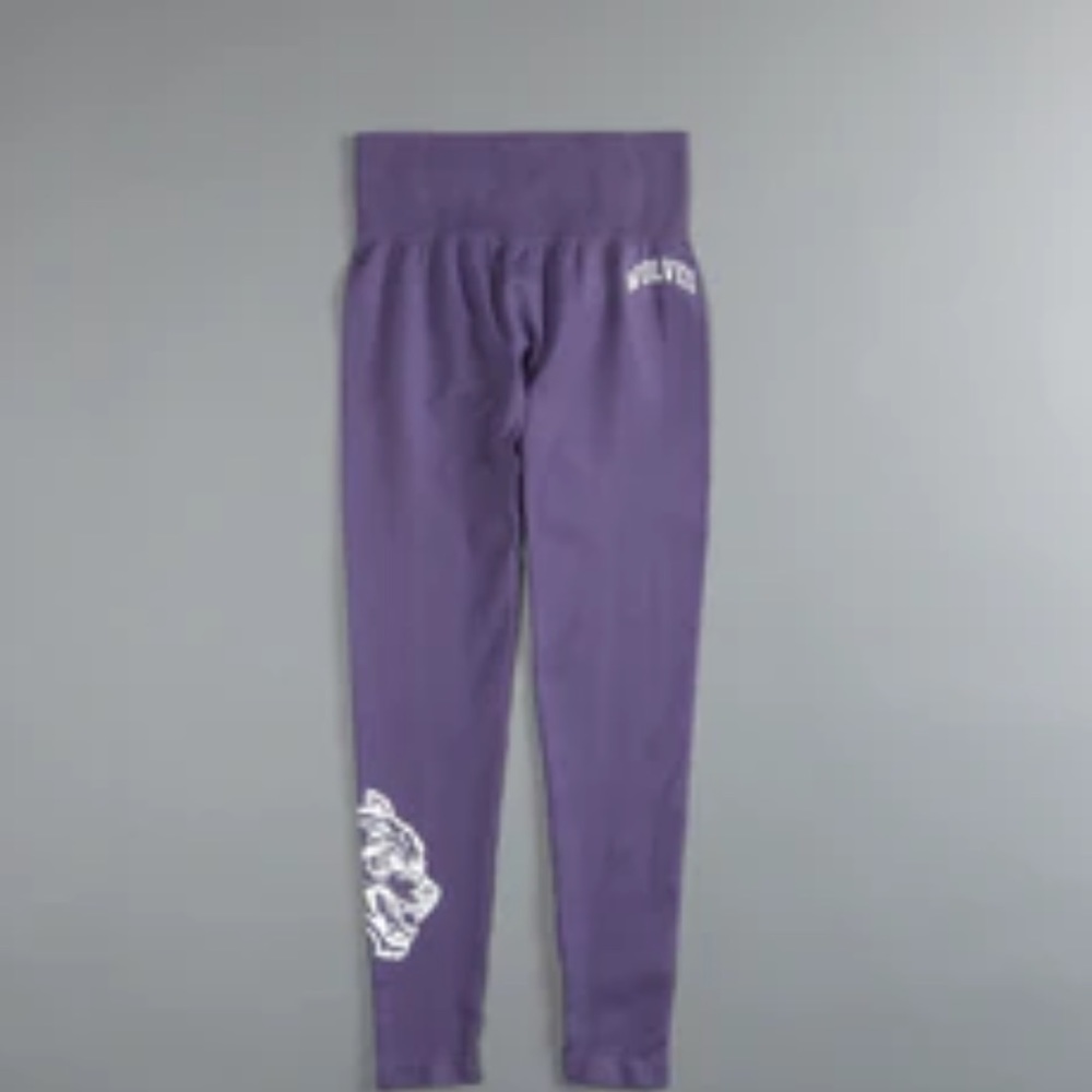 Big Wolf Loyalty "Everson Seamless" Leggings in Vintage Plum
S